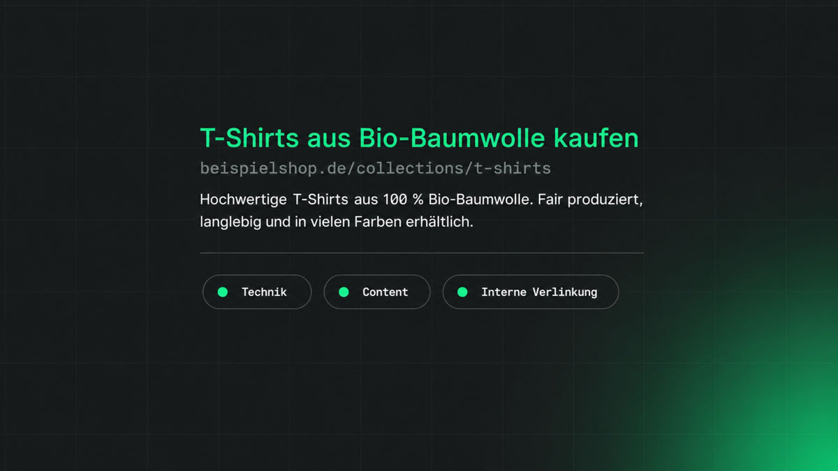 Bild zum Thema Shopify SEO-Betreuung